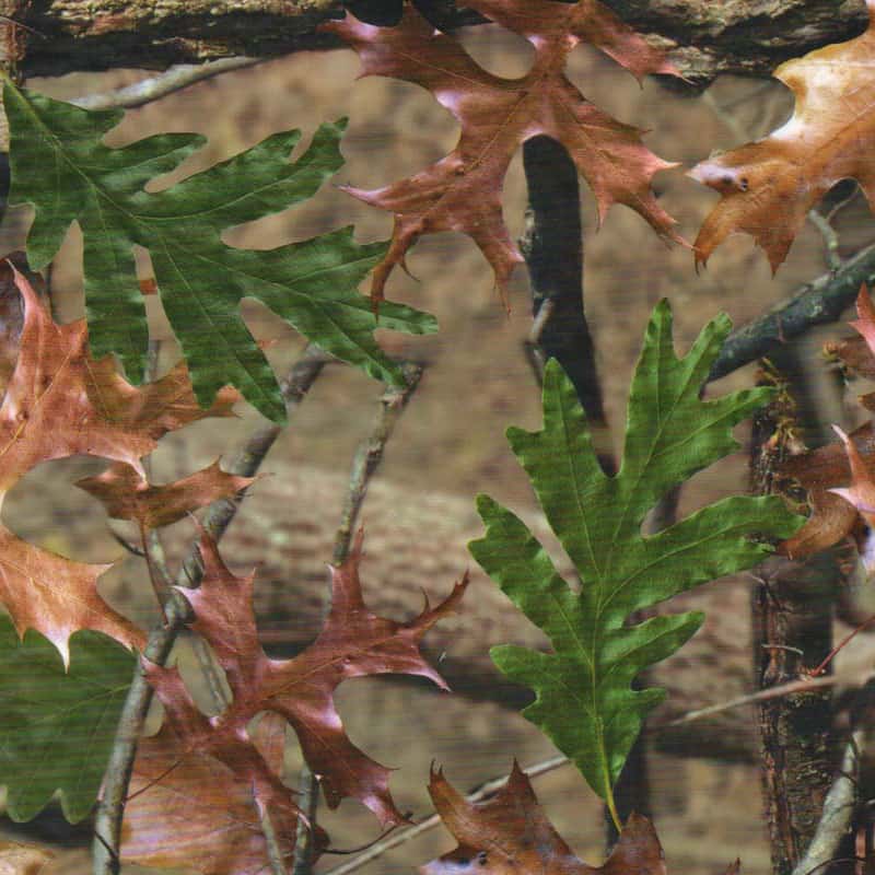 Autumn Leaf Hydro Dipping Pattern