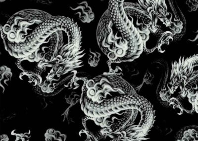 Japanese Dragons