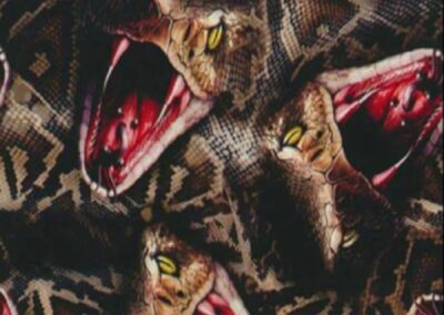 Pierced Rattle Snake