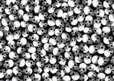 Small Skulls