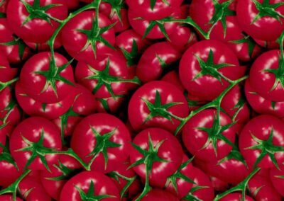 Tomatoes