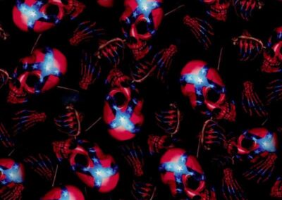 Confederate Skulls