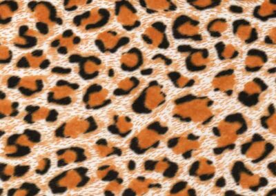 Animal Print Hydro Dipping Patterns
