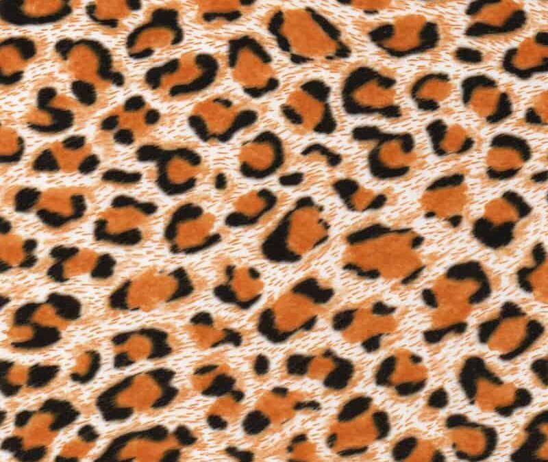 Animal Print Hydro Dipping Patterns