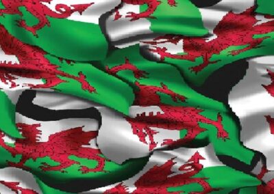 Welsh Flag hydro dipping film pattern