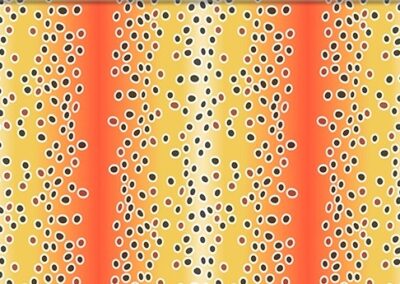 Brown Trout hydro dipping film pattern