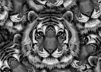 Tiger hydro dipping film pattern
