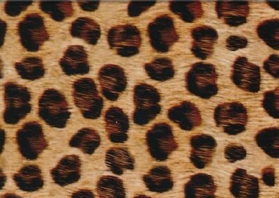 Leopard Print hydro dipping film pattern