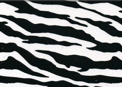 Zebra Print hydro dipping film pattern