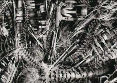 Biomech hydro dipping film pattern