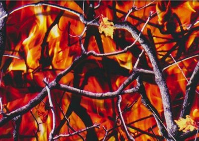 Forest Fire hydro dipping film pattern