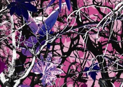 Twilight hydro dipping film pattern