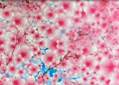 Sakura hydro dipping film pattern