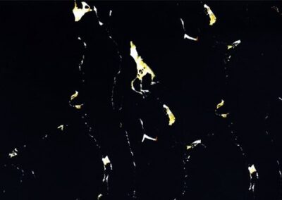 Black and Yellow hydro dipping film pattern