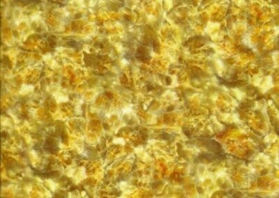 Gold hydro dipping film pattern