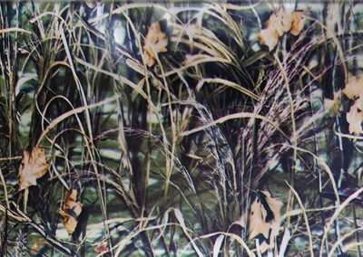 Grassland Camo hydro dipping film pattern