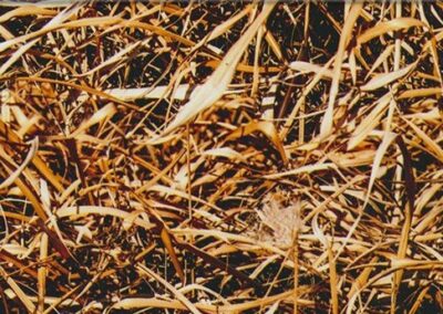 Hay Camo hydro dipping film pattern