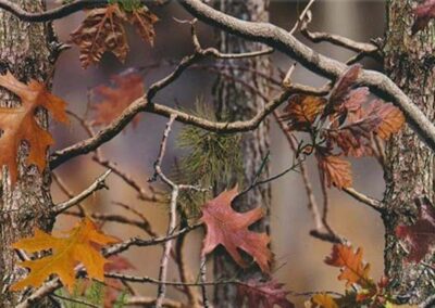 Leafy hydro dipping film pattern