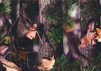 Mossy hydro dipping film pattern