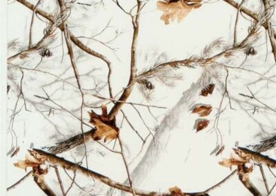 Winter hydro dipping film pattern