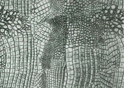 Alligator hydro dipping film pattern