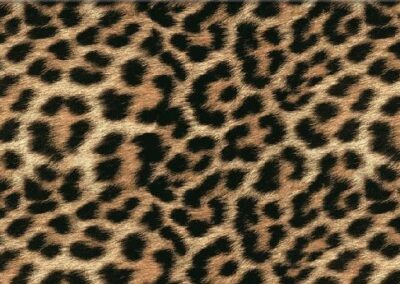Cheetah Print hydro dipping film pattern