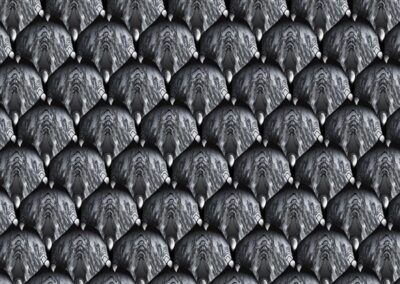 Midgard Dragon Scales hydro dipping film pattern