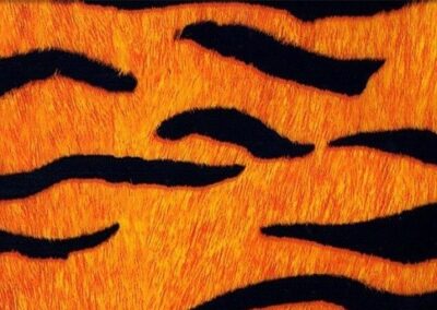 Orange Tiger hydro dipping film pattern