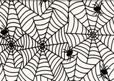 Spider Web hydro dipping film pattern