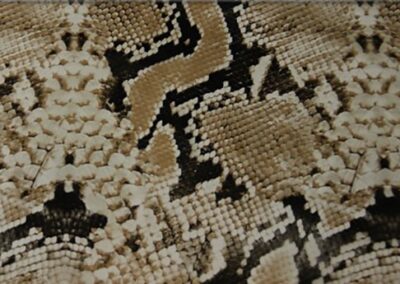 True hydro dipping film pattern