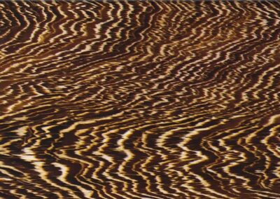 Tiger hydro dipping film pattern
